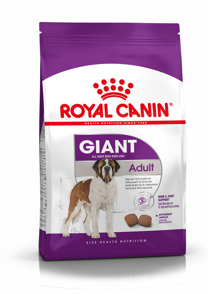 SHN Giant Adult 15KG + Regalo