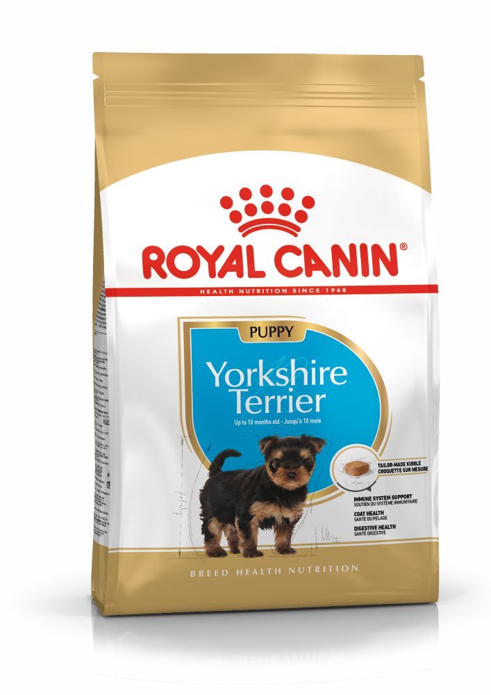 BHN Yorkshire Puppy 1KG