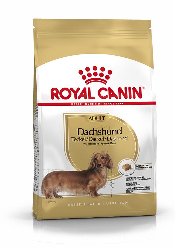 BHN Dachshund Adult 3KG + Regalo