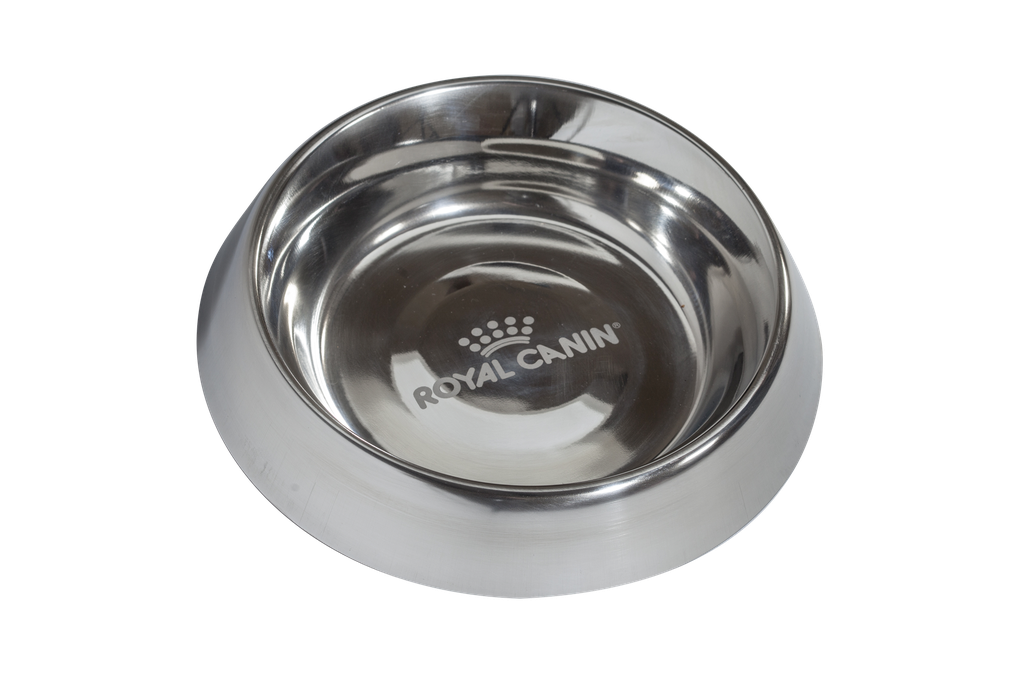 Dog Maxi feeding Bowl 64oz